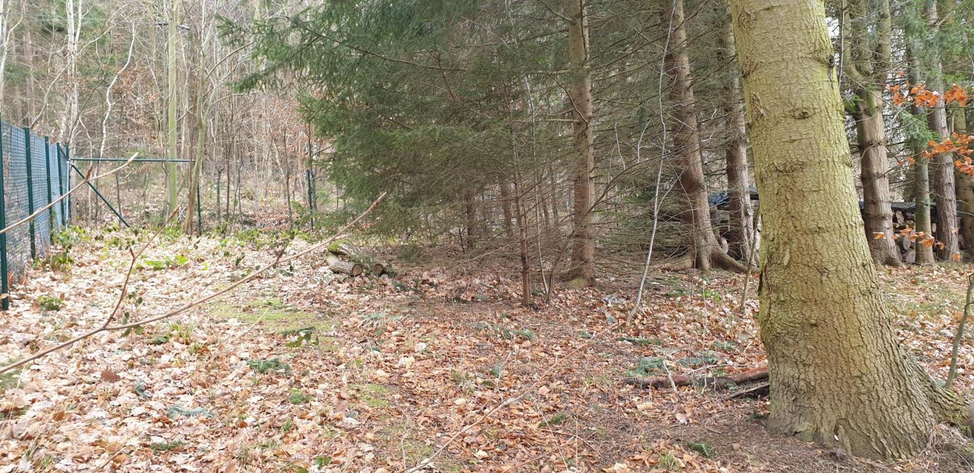 Waldhaus Hempe Villa Tabarz Bagian luar foto