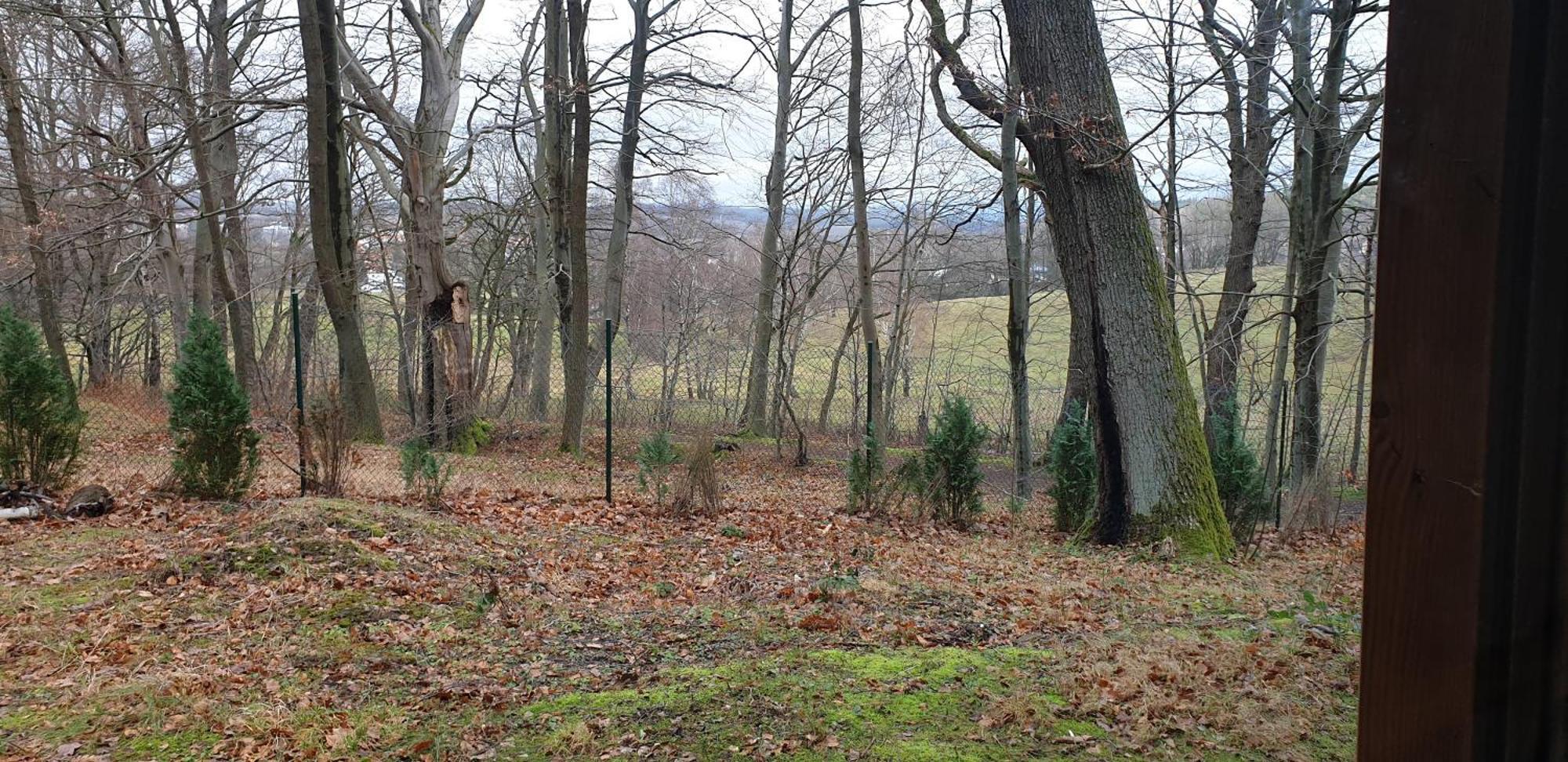 Waldhaus Hempe Villa Tabarz Bagian luar foto