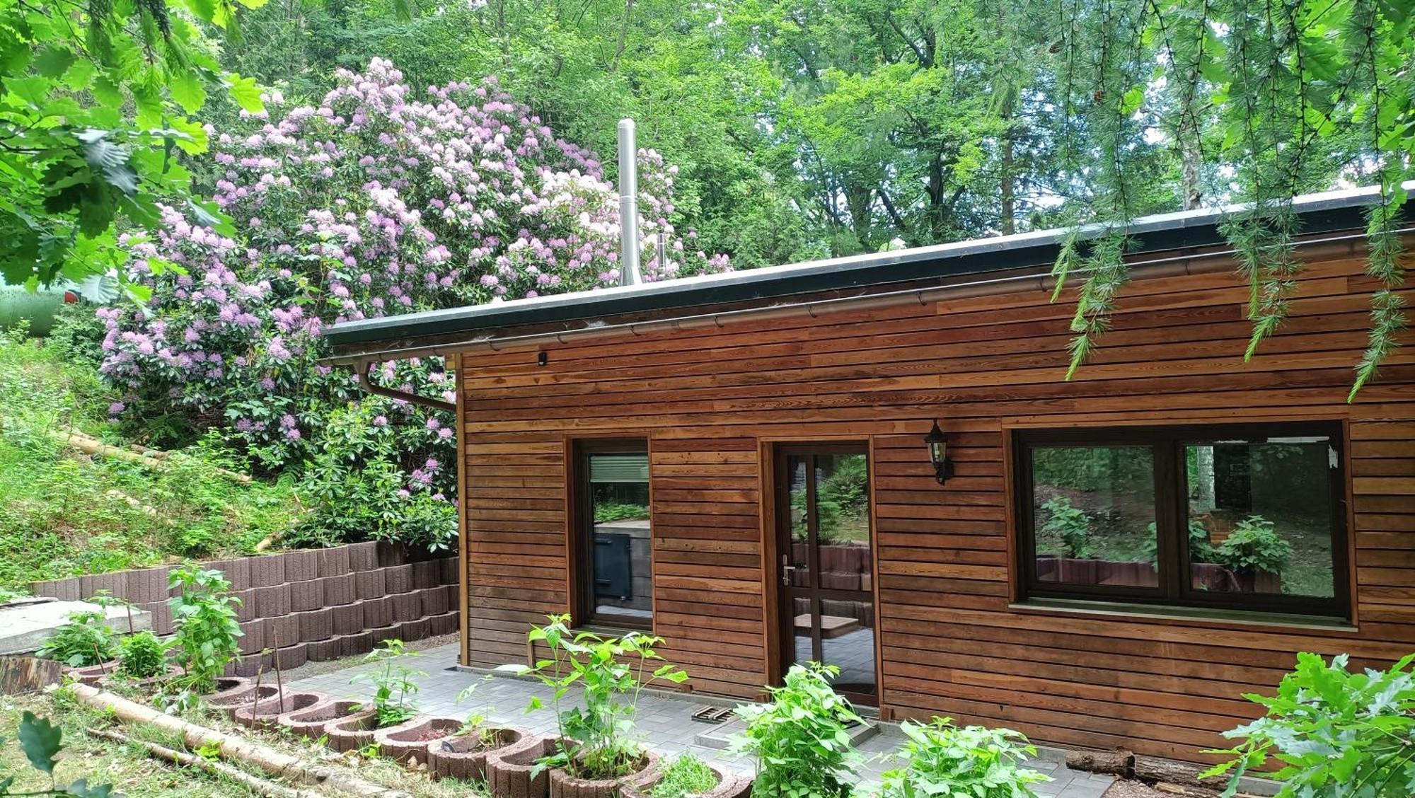 Waldhaus Hempe Villa Tabarz Bagian luar foto